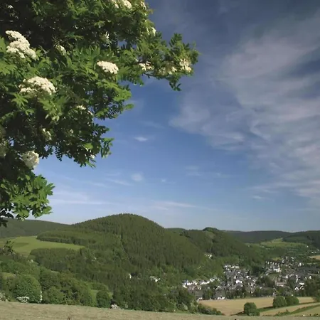 Cosy Over Usseln With Private Terrace Apartment Willingen (Upland)