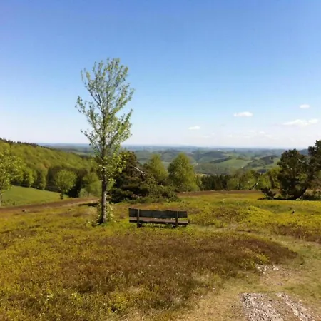 In Usseln Nahe Skiliften Apartment Willingen (Upland)