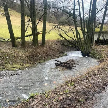 In Usseln Nahe Skiliften Willingen (Upland)