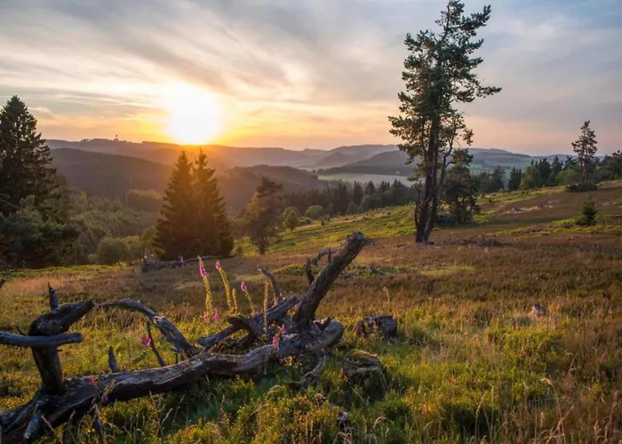 아파트 In Usseln Nahe Skiliften 빌링겐