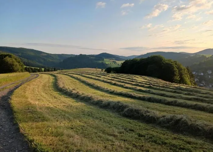 In Usseln Nahe Skiliften * 빌링겐